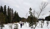 Tocht Stappen Les Rousses - E Jura - matinée du samedi 25-01-2020 - le Pré Rodet - Photo 1