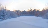 Randonnée Marche Spa - tour de la fagne de Malchamps dans la neige  - Photo 1