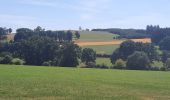 Tocht Stappen Trois-Ponts - GR 14 BASSE-BODEUX - BANEUX TABLE D'ORIENTATION  - Photo 4