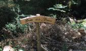 Trail Walking Chaudes-Aigues - Chemin de la mine  - Photo 3