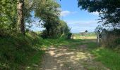 Tocht Stappen Domjean - Rando gorge de la Vire  - Photo 2