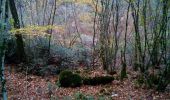 Excursión Senderismo Braillans - Braillans forêt de Chailluz - Photo 6