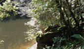 Excursión Senderismo Houffalize - tour du lac des 2 ourthes - barrage de Nisramont  - Photo 20