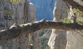 Percorso Marcia Castellane - la colle cadieres de brandis 20kms 1086m - Photo 3