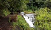 Tour Wandern São Vicente - Levada da Faja do Rodrigues (Rother n°32) - Photo 8