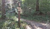 Trail Walking Annecy - A la découverte des Chalets de Barbenoire - Photo 12