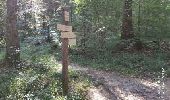 Randonnée Marche Annecy - A la découverte des Chalets de Barbenoire - Photo 12