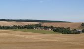 Excursión Senderismo Messon - Bois Lorgne - Photo 1