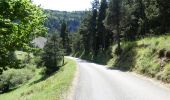 Trail Walking Châtillon-en-Diois - La Montagnette par le Pas de la Plane (Combau) - Photo 6