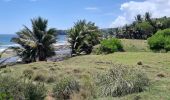 Tour Wandern Le Lorrain - Boucle Dorival, Crabière, Bon Repos, Man Ti-Fre, Savon - Photo 5