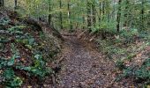 Tocht Stappen Yvoir - dans les bois à Mont - Photo 2