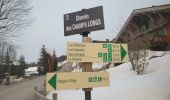 Tocht Sneeuwschoenen Megève - Raquette Pettoreaux TFM puis ThiMar - Photo 1