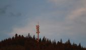 Trail On foot Elzach - Elztalweg - Photo 2