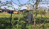 Percorso Marcia Vesly - Vesly côte de Guerny Gisancourt et le chêne, ferme de Nainville - Photo 1