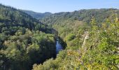 Tour Wandern Hohenfels - rando nadrin 10-09-2023 - Photo 14