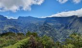 Excursión Senderismo Saint-Louis - Tapage - Piton Cabris - La Fenêtre  - Photo 4