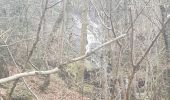 Percorso Marcia Escoussens - 81-Escoussens-la Blancarie-cascade de Mouscaillou-04/03/2023 - Photo 2