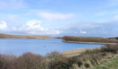 Tour Wandern Veere - Se promener dans Westkapelle et dans les dunes  - Photo 13