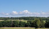 Tour Wandern Meix-devant-Virton - rando gerouville 6-07-2023 - Photo 11