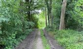 Tour Wandern Ninove - Ninove Geraardsbergen 28 km - Photo 4