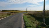 Tocht Stappen Saint-Ouen-les-Vignes - Saint-Ouen-les-Vignes - Monteaux (la Digue) via GR - 21.4km 160m 4h30 (35mn) - 2018 10 27 - Photo 2