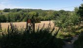 Trail Walking Court-Saint-Étienne - La Roche-Sart Messire Guillaume-La Roche - Photo 2