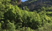Randonnée Marche Aiguines - Gorges du Verdon - Sentier de l'Imbut - Photo 3