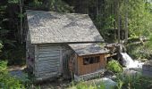 Tour Zu Fuß Ramsau am Dachstein - Sattelberg Rundweg 