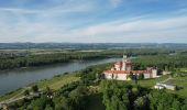 Tocht Te voet Wallsee-Sindelburg - Donaualtarmweg - Photo 9