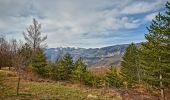 Tour Zu Fuß Brallo di Pregola - Sentiero della Panoramica - Photo 2