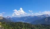 Tour Wandern Sarcenas - la Pinéa du col de Portes - Photo 4