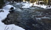 Randonnée Raquettes à neige La Llagonne - Le long du têt  - Photo 4