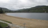 Tour Zu Fuß Le Lac-d'Issarlès - Le tour du Lac - Photo 1