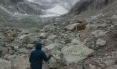 Tocht Stappen Evolène - glacier mont miné  - Photo 4