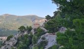 Tour Wandern Toulon - faron est ouest solo - Photo 1