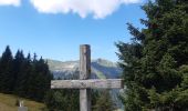 Trail Walking Morzine - balade des crêtes : Avoriaz . belvédère du lac de Montriond . croix des combes . Avoriaz - Photo 3