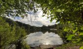 Randonnée Marche Clamart - Tour des etangs - Bois de Clamart et de Meudon - Photo 6