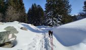 Tocht Sneeuwschoenen Saint-André - Maurienne - saint André - vallon de Polsey - Photo 6