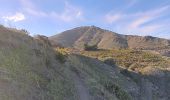 Tour Wandern Cerbère - vilk1g3 des aloès - car Cerbère / retour  - Photo 4