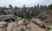 Tocht Stappen Viroinval - Nismes - L'arboretum - Le Fondry des chiens - La Roche trouée - Photo 9