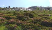 Trail Walking Gavarnie-Gèdre - pic de Lary thmie fait - Photo 3