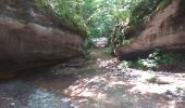 Excursión Senderismo Ornans - Cascades de la Peusse, Baume Bourla - Photo 2