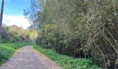 Trail Walking Sambreville - 81.446 Tamines - Bois des Noix - Photo 7