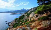 Trail Walking Calvi - Boucle Croix des Balkans - Phare de Revellata - Notre dame de la Sierra - Photo 19