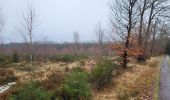 Trail Walking Houffalize - Pisserotte 151224 - Photo 18