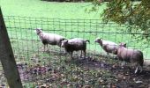 Tocht Stappen Soumagne - Départ rue sur les pres - Photo 5