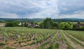 Excursión Senderismo Azy-sur-Marne - Bonneil  - Photo 3