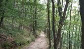 Tour Wandern Weismes - robertville . barrage . nez de napoléon.  reinhardstein . barrage . pont . robertville - Photo 15