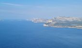 Tocht Stappen La Ciotat - soubeyrannes  aller retour - Photo 2