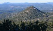 Tour Wandern Cotignac - Cotignac - Gros Bessillon - Monastère St Joseph - ND de Grâce - Photo 10